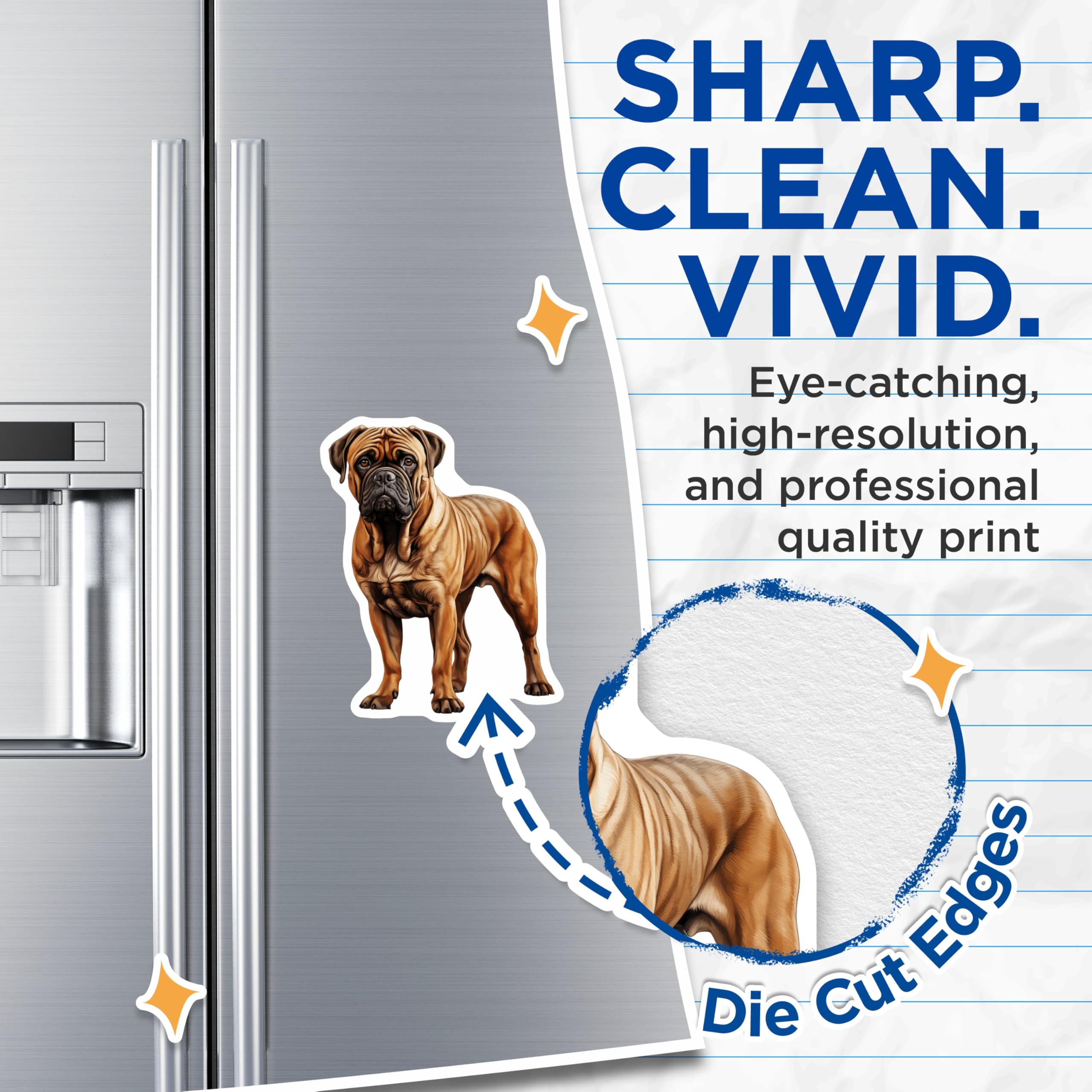 (2 Pack) Bullmastiff Dog Magnets - Dog Breed Lover Decor - Pet Owner Fridge Art - Canine Enthusiast Item - 5 Inches On Longest Side - Thick Durable Magnet - Made in USA - MAG28166