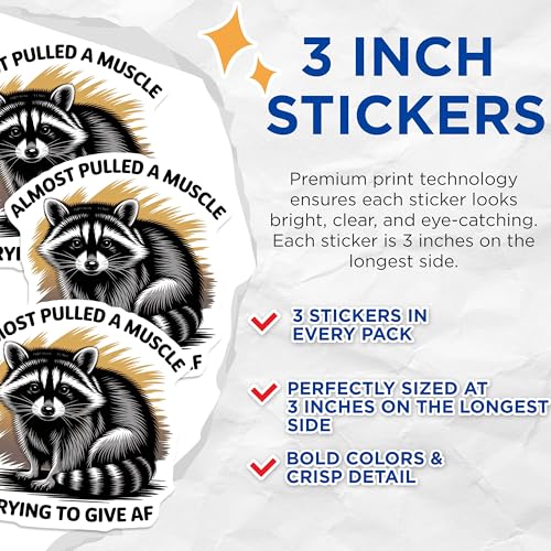 (3 Pack) Raccoon Decals - Funny Animal - Sarcastic Humor - 3 Inches On Longest Side - Easy Peel & Apply - Made in USA - 3MCS8387
