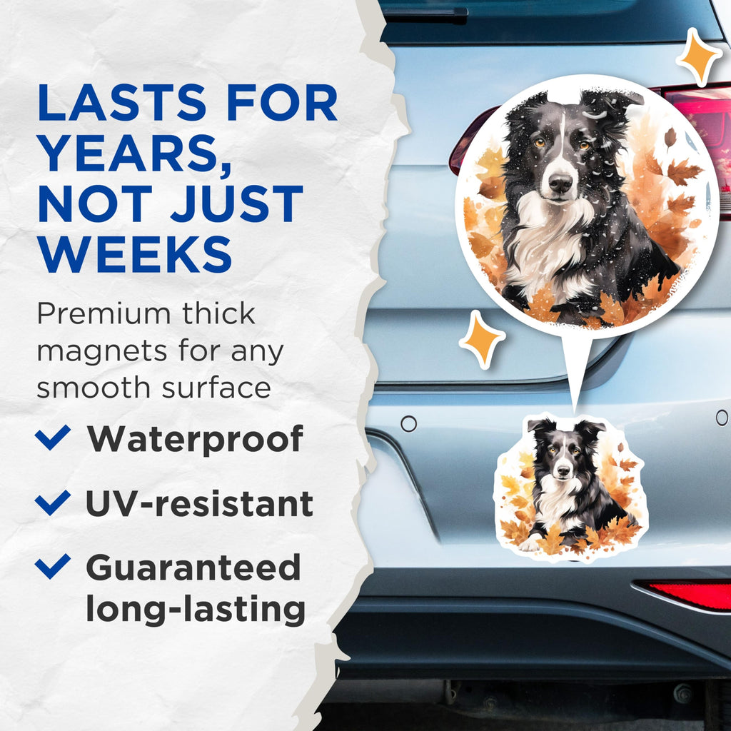 (2 Pack) Border Collie Magnets - Autumn Dog Lover Home Decor - Fall Refrigerator Kitchen Magnet Set - 5 Inches On Longest Side - Thick Durable Magnet - Made in USA - MAG28449