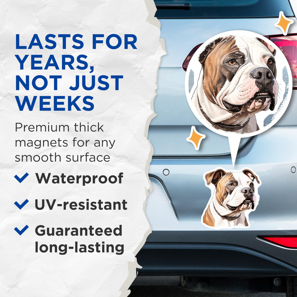 (2 Pack) American Bulldog Magnets - Dog Breed Refrigerator Decor - Canine Home Kitchen Accent - 5 Inches On Longest Side - Thick Durable Magnet - Made in USA - MAG24523