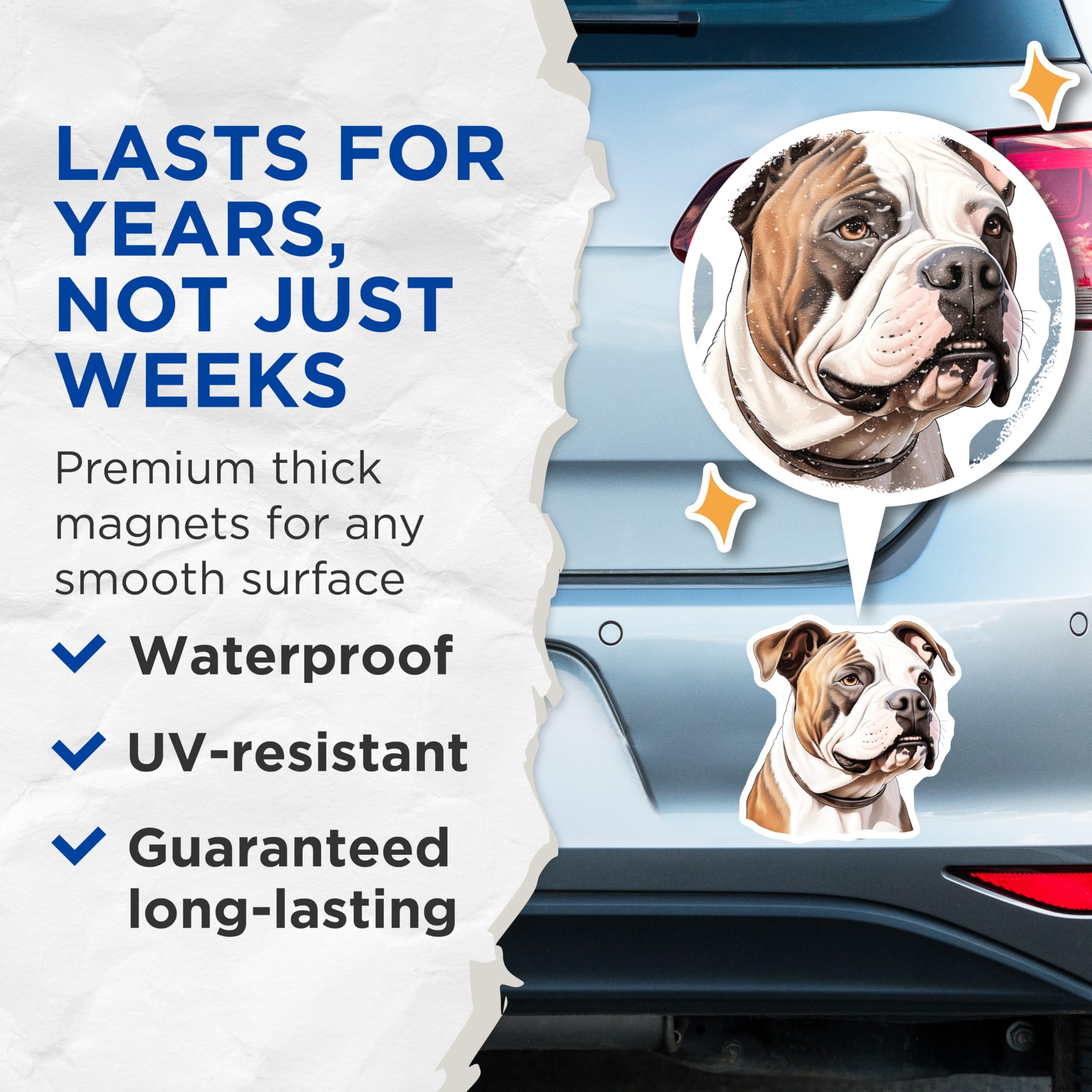 (2 Pack) American Bulldog Magnets - Dog Breed Refrigerator Decor - Canine Home Kitchen Accent - 5 Inches On Longest Side - Thick Durable Magnet - Made in USA - MAG24523