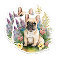 (2 Pack) French Bulldog Magnets - Cute Dog Art - Refrigerator Locker Magnets - 5" On Longest Side - Premium Magnet - for Cars, Refrigerators, Toolboxes, Lockers - Made in USA - MAG15389