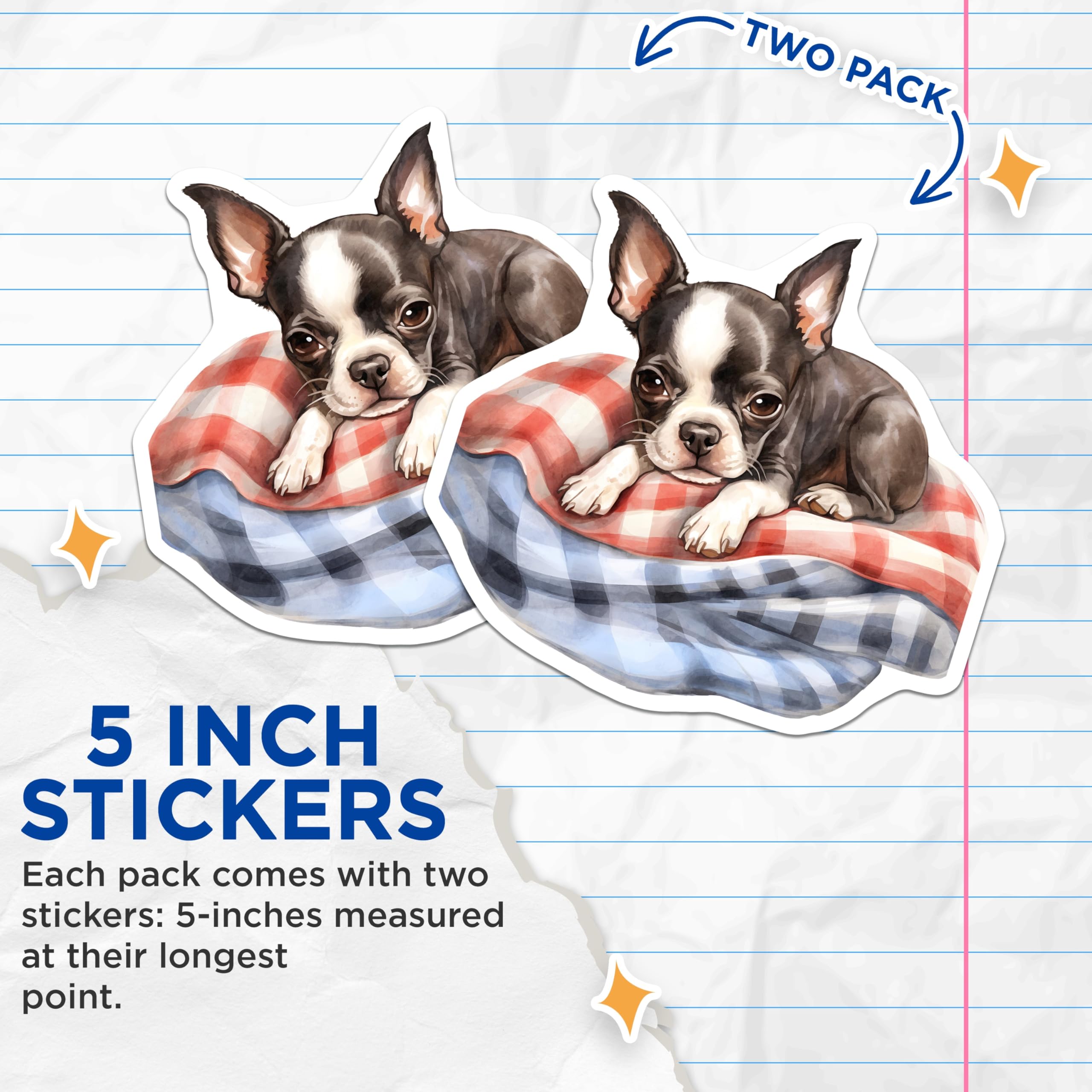 (2 Pack) Boston Terrier Stickers - Cute Puppy Decal - Dog Breed Art- 5" On Longest Side - Sticks to Smooth Flat Surfaces - Made in USA - BMCS16580