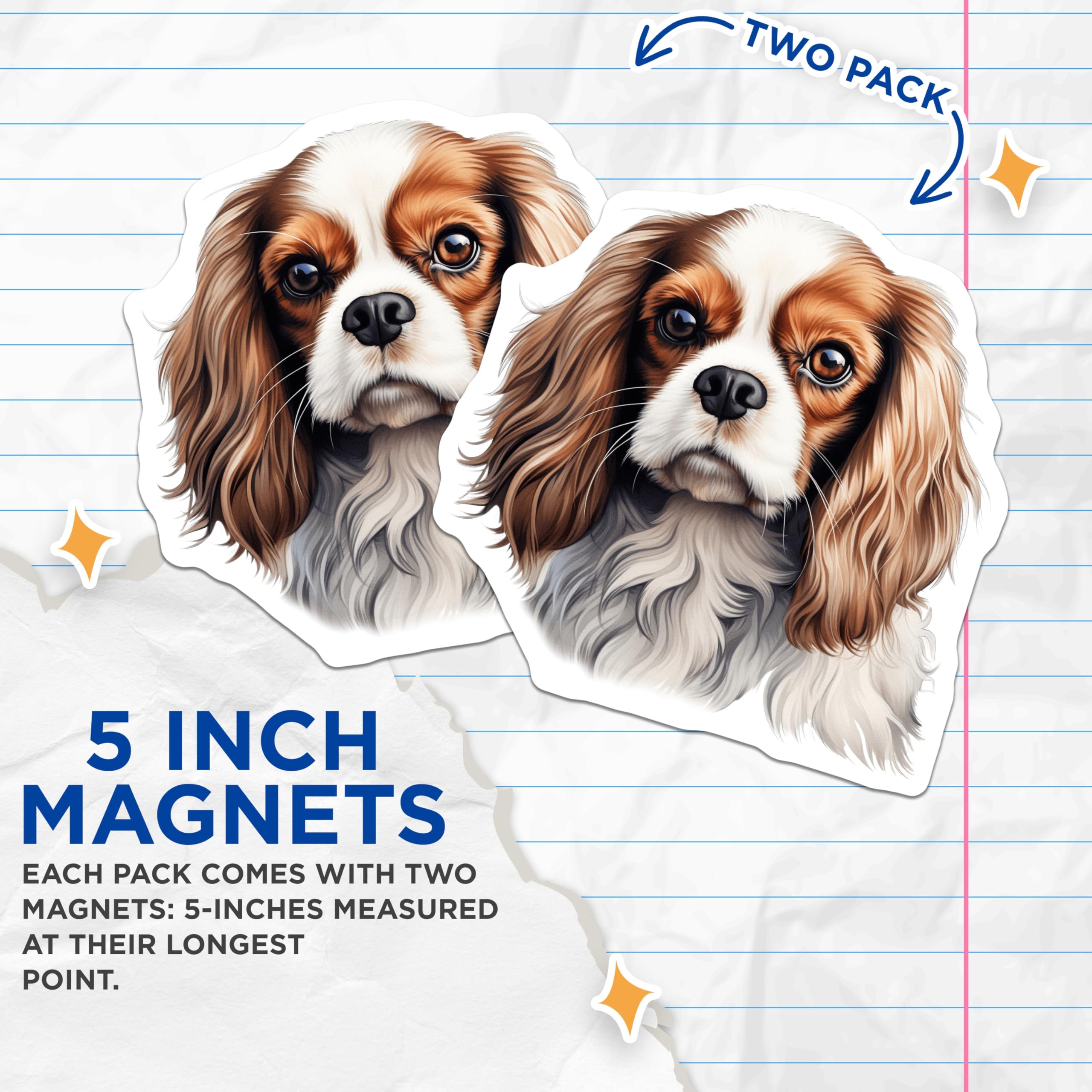 (2 Pack) Cavalier King Charles Spaniel Magnets - Blenheim Dog Breed Art - Pet Lover Refrigerator Decor - 5 Inches On Longest Side - Thick Durable Magnet - Made in USA - MAG24919