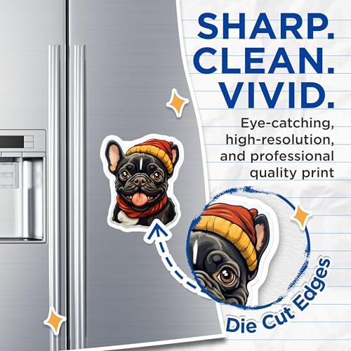 (2 Pack) Bulldog Face Magnets - Cute Dog - French Bulldog - Refrigerator Magnets - Cute Animal Magnets - 5" On Longest Side - for Cars, Fridges, Toolboxes - Made in USA - MAG3936