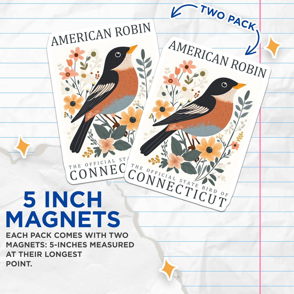 (2 Pack) American Robin Magnets - Connecticut State Bird Decor - Folk Art Wildlife Collectible - 5 Inches On Longest Side - Thick Durable Magnet - Made in USA - MAG19210