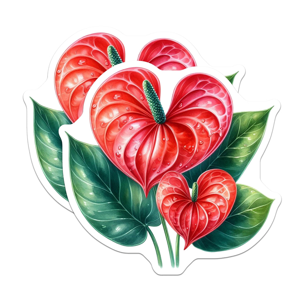 (2 Pack) Anthurium Magnets - Red Tropical Flower Art - Heart Shaped Bloom Decor - Botanical Refrigerator Accent - 5 Inches On Longest Side - Thick Durable Magnet - Made in USA - MAG20630