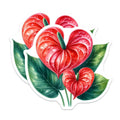 (2 Pack) Anthurium Magnets - Red Tropical Flower Art - Heart Shaped Bloom Decor - Botanical Refrigerator Accent - 5 Inches On Longest Side - Thick Durable Magnet - Made in USA - MAG20630