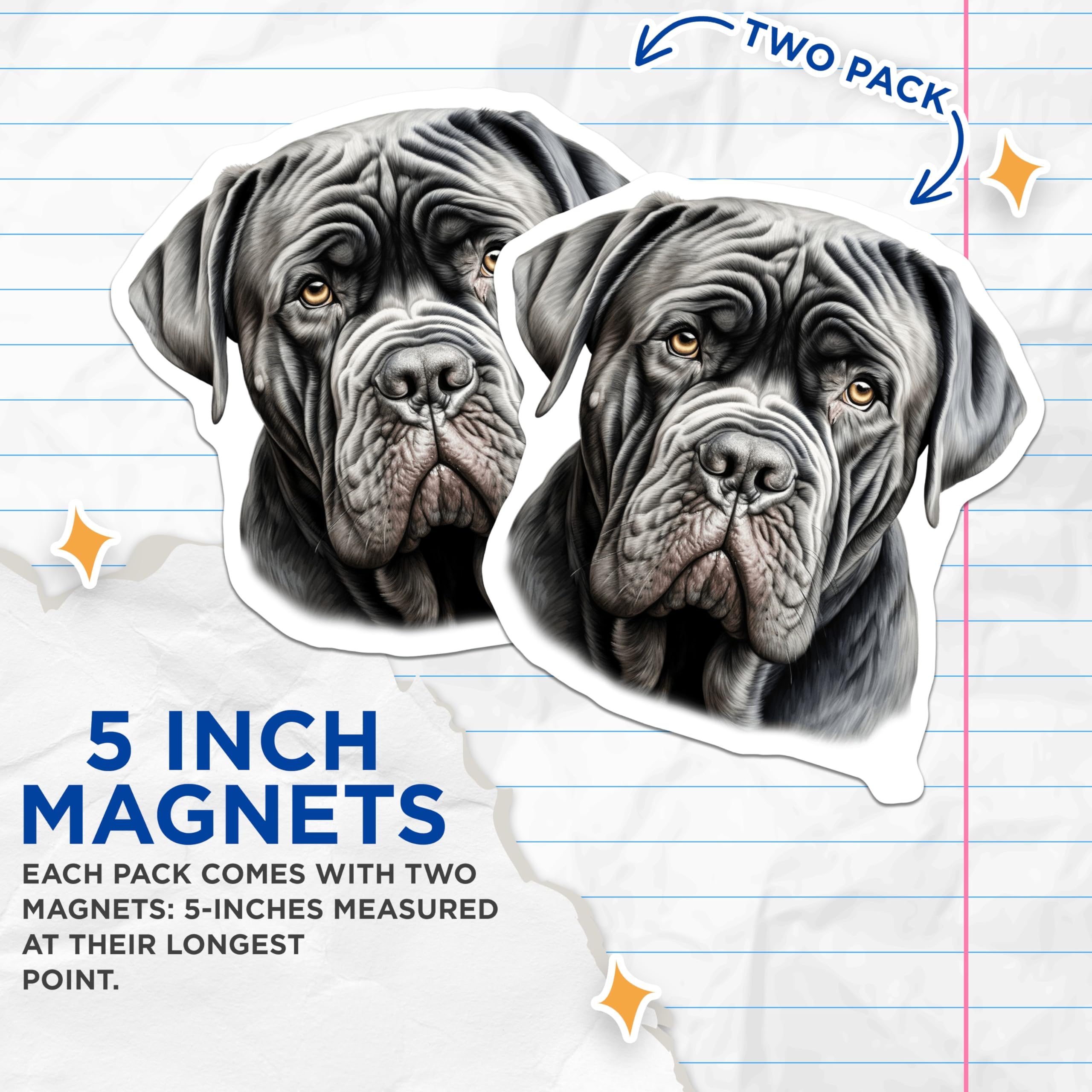 (2 Pack) Neapolitan Mastiff Magnets - Large Dog Breed Decor - Pet Parent Refrigerator Art - Wrinkled Dog Portrait - 5 Inches On Longest Side - Thick Durable Magnet - Made in USA - MAG30060