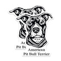 (2 Pack) American Pit Bull Terrier Stickers - Dog Breed Stickers - Pet Lover Stickers - 5" On Longest Side - Sticks to Smooth Flat Surfaces - Made in USA - BMCS4015