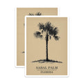 (2 Pack) Sabal Palm Magnets - Florida State Tree - Botanical Illustration - 5" On Longest Side - Premium Magnet - for Cars, Refrigerators, Toolboxes, Lockers - Made in USA - MAG18677