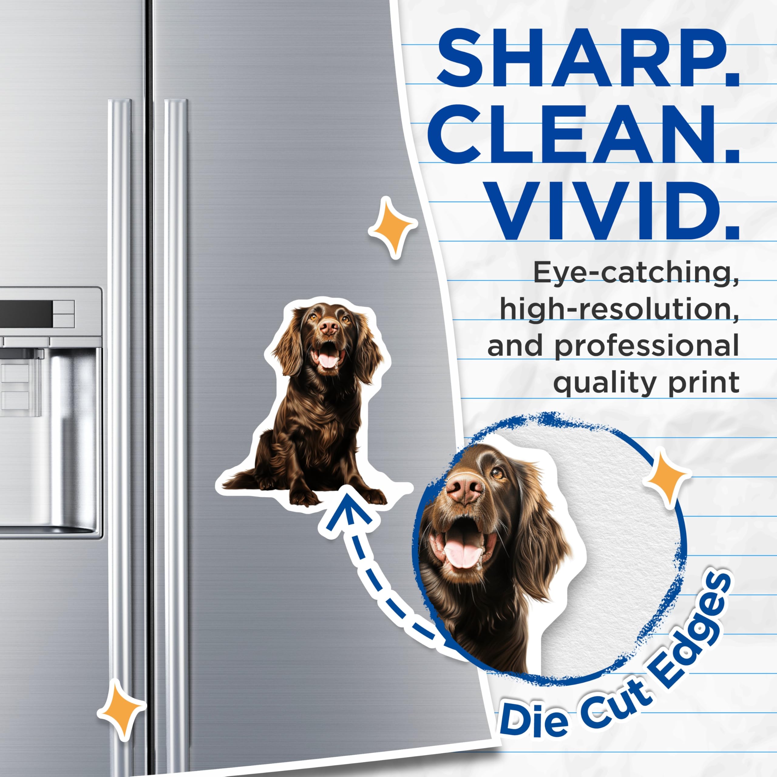 (2 Pack) Happy Brown Long Haired Dog Magnets - Pet Lover Kitchen Decor - Dog Mom Refrigerator Accent - 5 Inches On Longest Side - Thick Durable Magnet - Made in USA - MAG28999