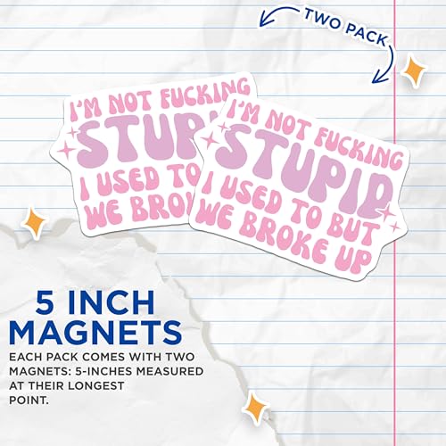 (2 Pack) Funny Quote Magnets Magnets - 5" On Longest Side - Made in USA - Sticks to Refrigerators & Metal Surfaces - MAG8486