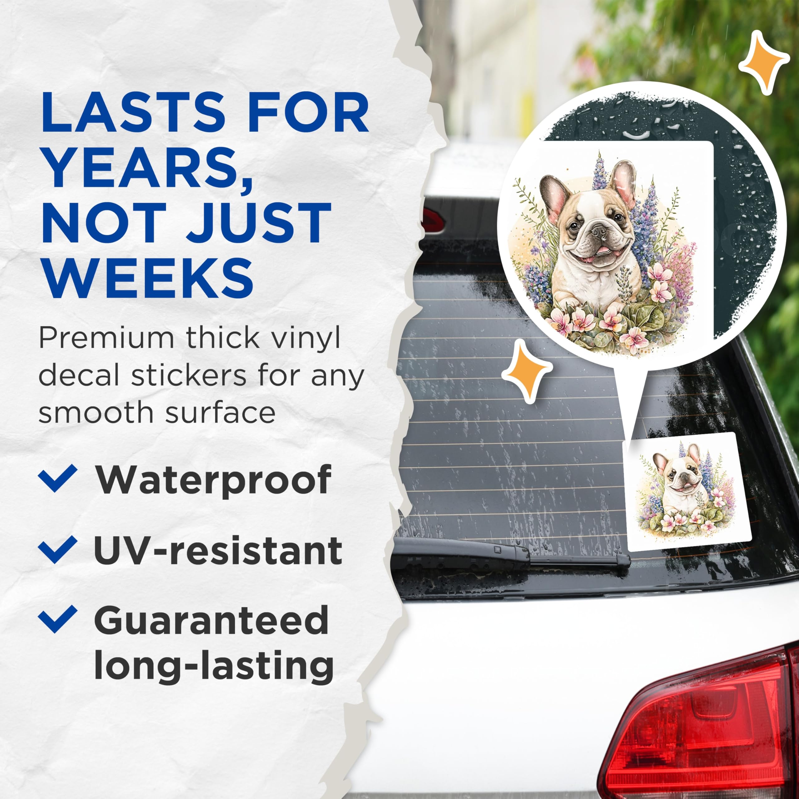 (2 Pack) French Bulldog Stickers - Cute Dog Stickers - Floral Stickers- 5" On Longest Side - Sticks to Smooth Flat Surfaces - Made in USA - BMCS16093