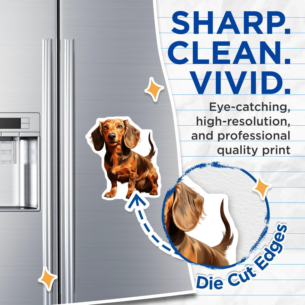 (2 Pack) Long Haired Dachshund Magnets - Cute Sausage Dog Art - Pet Lover Refrigerator Decor - 5 Inches On Longest Side - Thick Durable Magnet - Made in USA - MAG26437