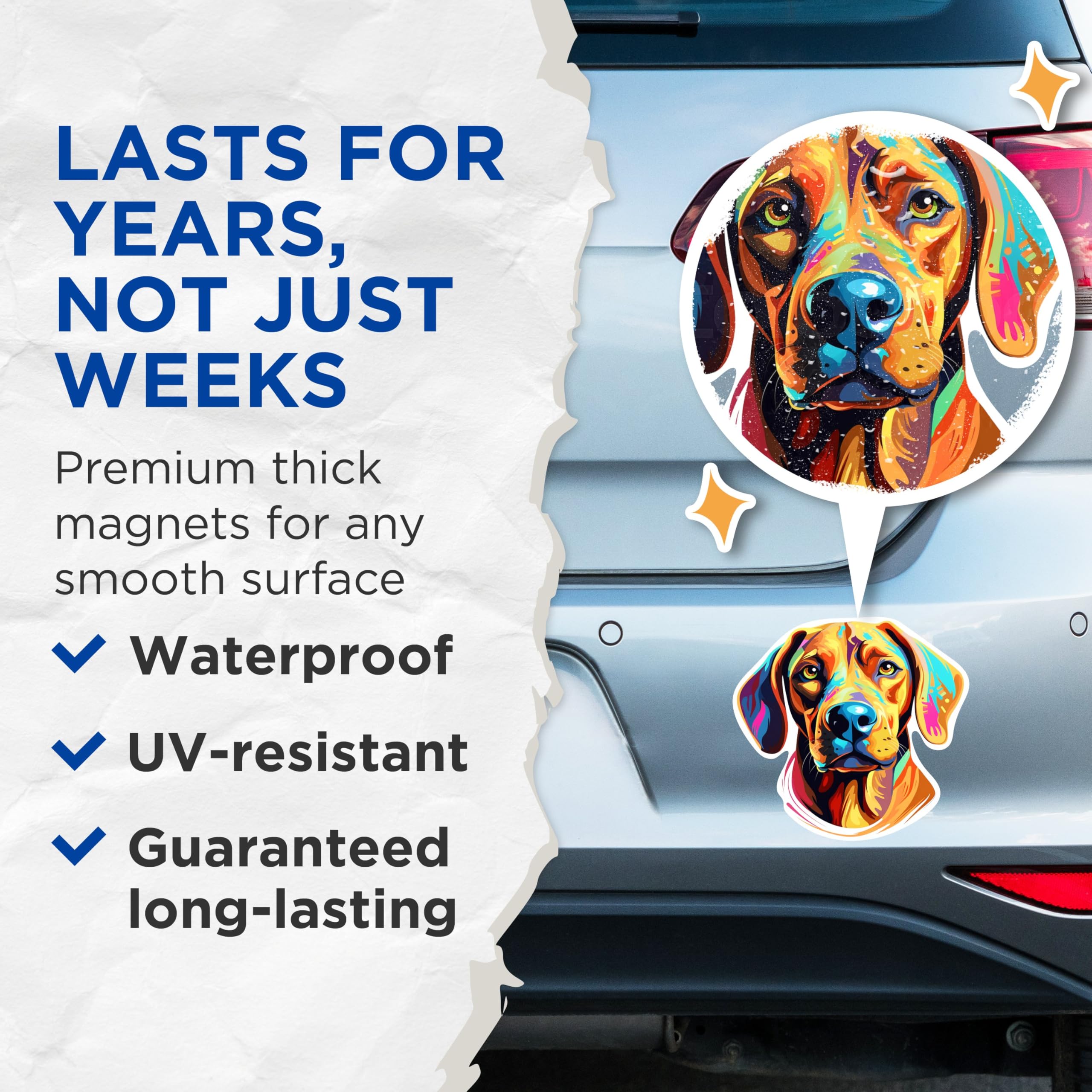 (2 Pack) Rhodesian Ridgeback Dog Breed Magnets - 5 Inches On Longest Side - Choose from Over 100 Dog Breeds - for Cars, Refrigerators, Toolboxes - Made in USA - MAG1934
