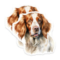 (2 Pack) Springer Spaniel Magnets - Dog Mom Decor - Pet Owner Display - 5 Inches On Longest Side - Thick Durable Magnet - Made in USA - MAG28988