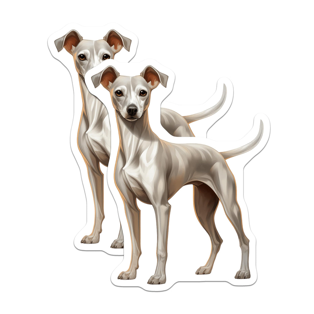 (2 Pack) Italian Greyhound Magnets - Dog Owner Decor - Pet Art Collection - 5 Inches On Longest Side - Thick Durable Magnet - Made in USA - MAG26833