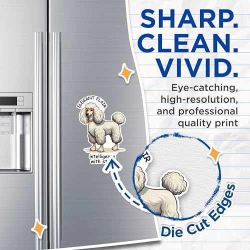 (2 Packs) Poodle Dog Breed Magnets - Elegant Flair Intelligence with Style Magnets - 5 Inches On Longest Side - Premium Magnet - for Fridges, Toolboxes, Cars - Made in USA - MAG2385
