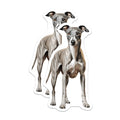 (2 Pack) Whippet Dog Magnets - Realistic Brindle Sighthound Art - Dog Mom Fridge Decor - Pet Parent Locker Magnet - 5 Inches On Longest Side - Thick Durable Magnet - Made in USA - MAG26034