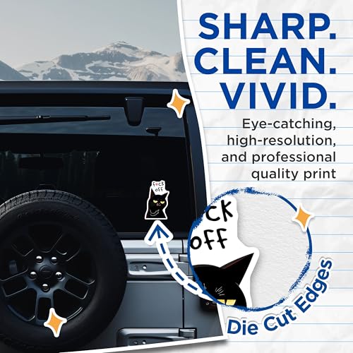 (2 Pack) Cat Attitude Stickers - Funny Animal Decal - Sarcastic Cat Quote - 5" On Longest Side - Sticks to Smooth Flat Surfaces - Made in USA - BMCS7828
