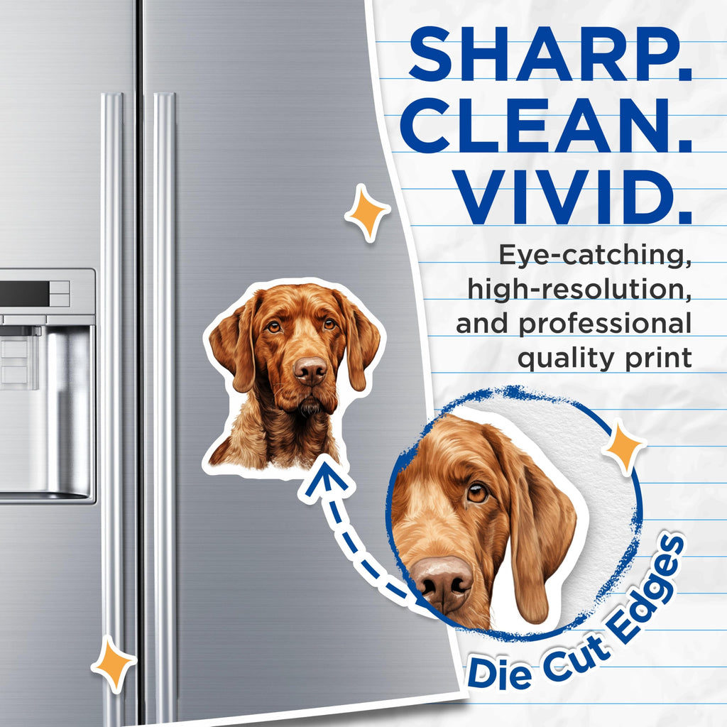 (2 Pack) Vizsla Dog Magnets - Loyal Hunting Breed - Refrigerator Decor for Pet Owners - Dog Mom Dad Appreciation - 5 Inches On Longest Side - Thick Durable Magnet - Made in USA - MAG25376