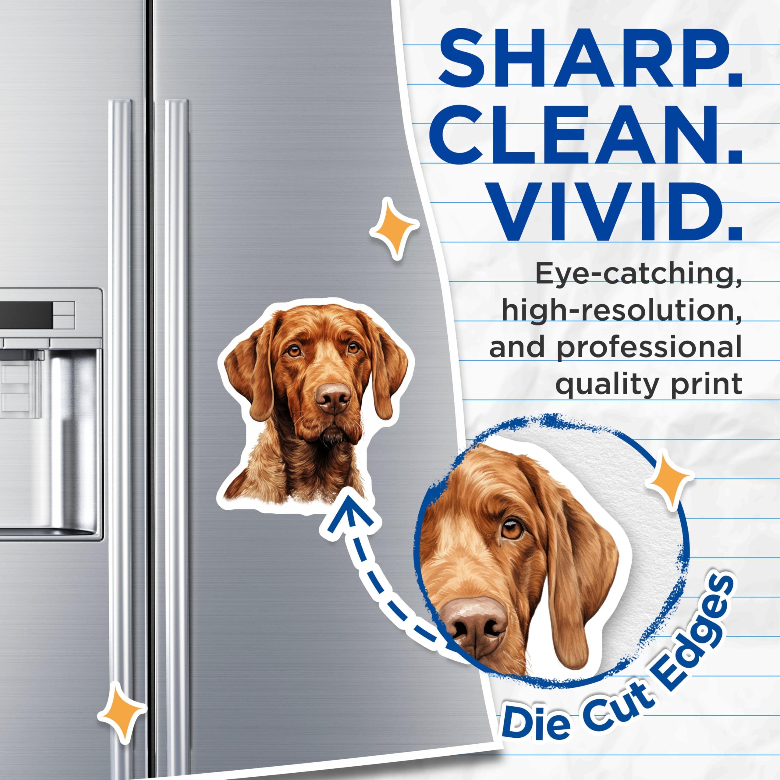 (2 Pack) Vizsla Dog Magnets - Loyal Hunting Breed - Refrigerator Decor for Pet Owners - Dog Mom Dad Appreciation - 5 Inches On Longest Side - Thick Durable Magnet - Made in USA - MAG25376