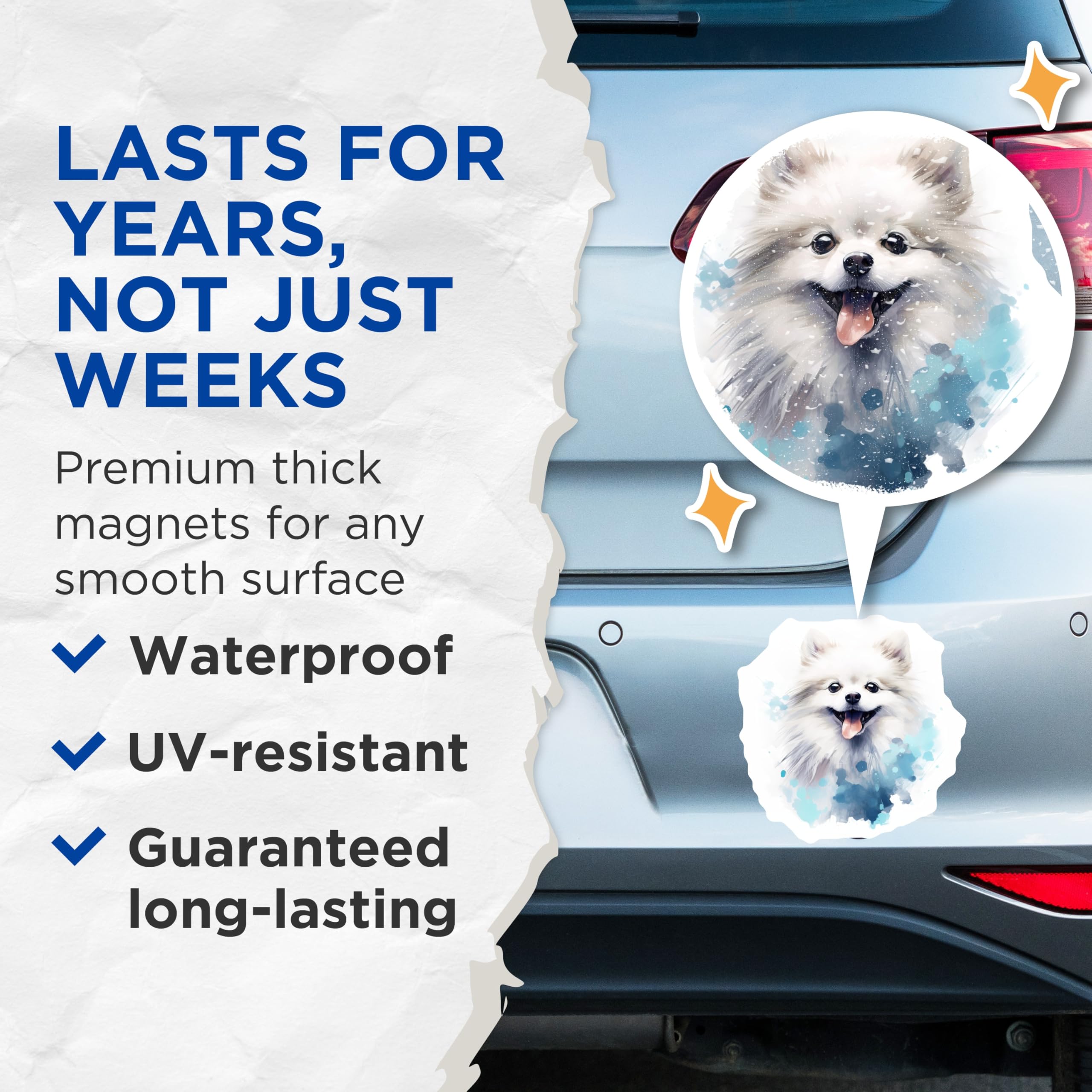 (2 Pack) Pomeranian Dog Magnets - Cute Pet Lover Decor - White Pom Animal Art Refrigerator Magnets - 5 Inches On Longest Side - Thick Durable Magnet - Made in USA - MAG25133