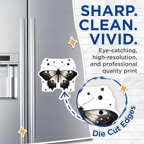 (2 Pack) Butterfly Pattern Magnets - Black and White Butterfly - Nature Theme Magnets - 5" On Longest Side - for Cars, Refrigerators, Toolboxes, Lockers - Made in USA BMCS3391