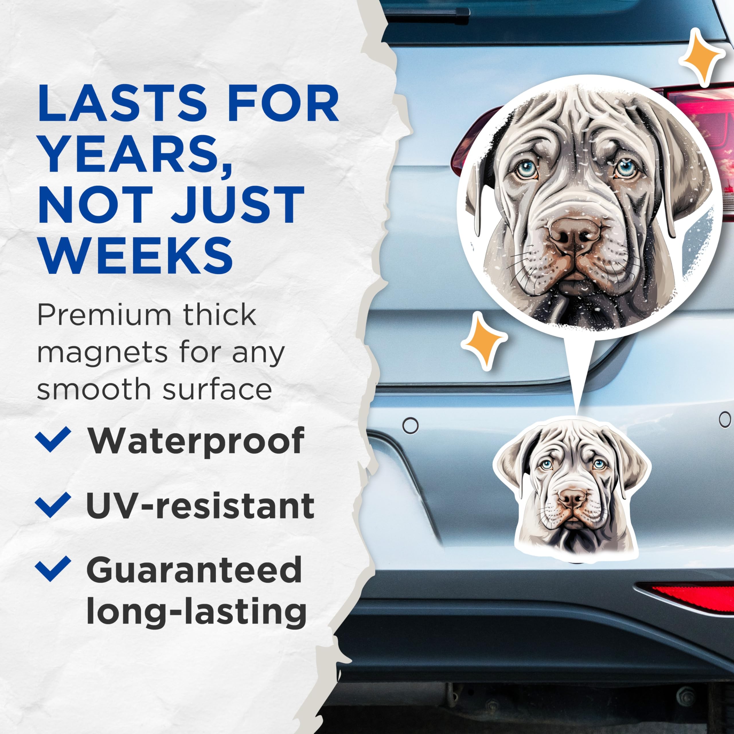 (2 Pack) Mastiff Puppy Magnets - Blue Eyed Dog Art - Wrinkled Canine Decor - 5 Inches On Longest Side - Thick Durable Magnet - Made in USA - MAG23819