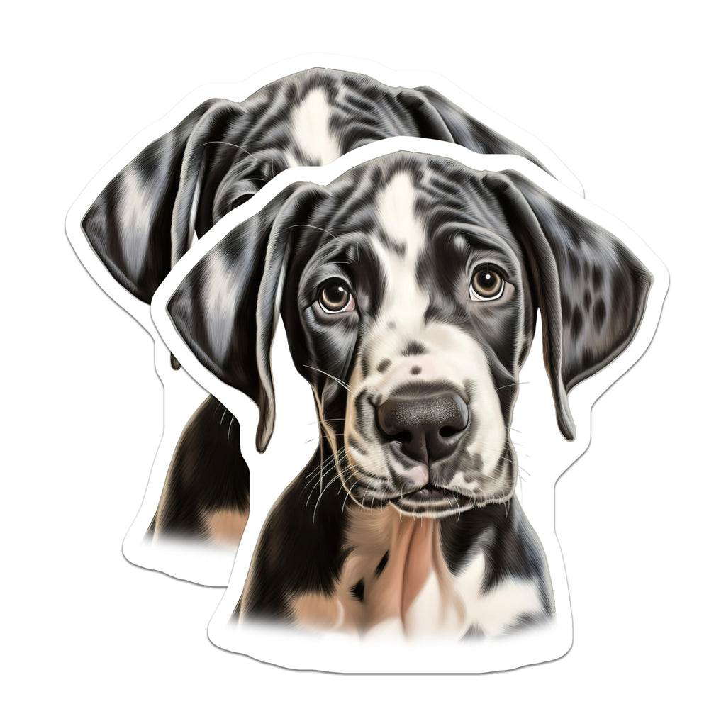 (2 Pack) Great Dane Puppy Magnets - Harlequin Dog Art Decor - Dog Mom Pet Owner Refrigerator Accessories - 5 Inches On Longest Side - Thick Durable Magnet - Made in USA - MAG25126