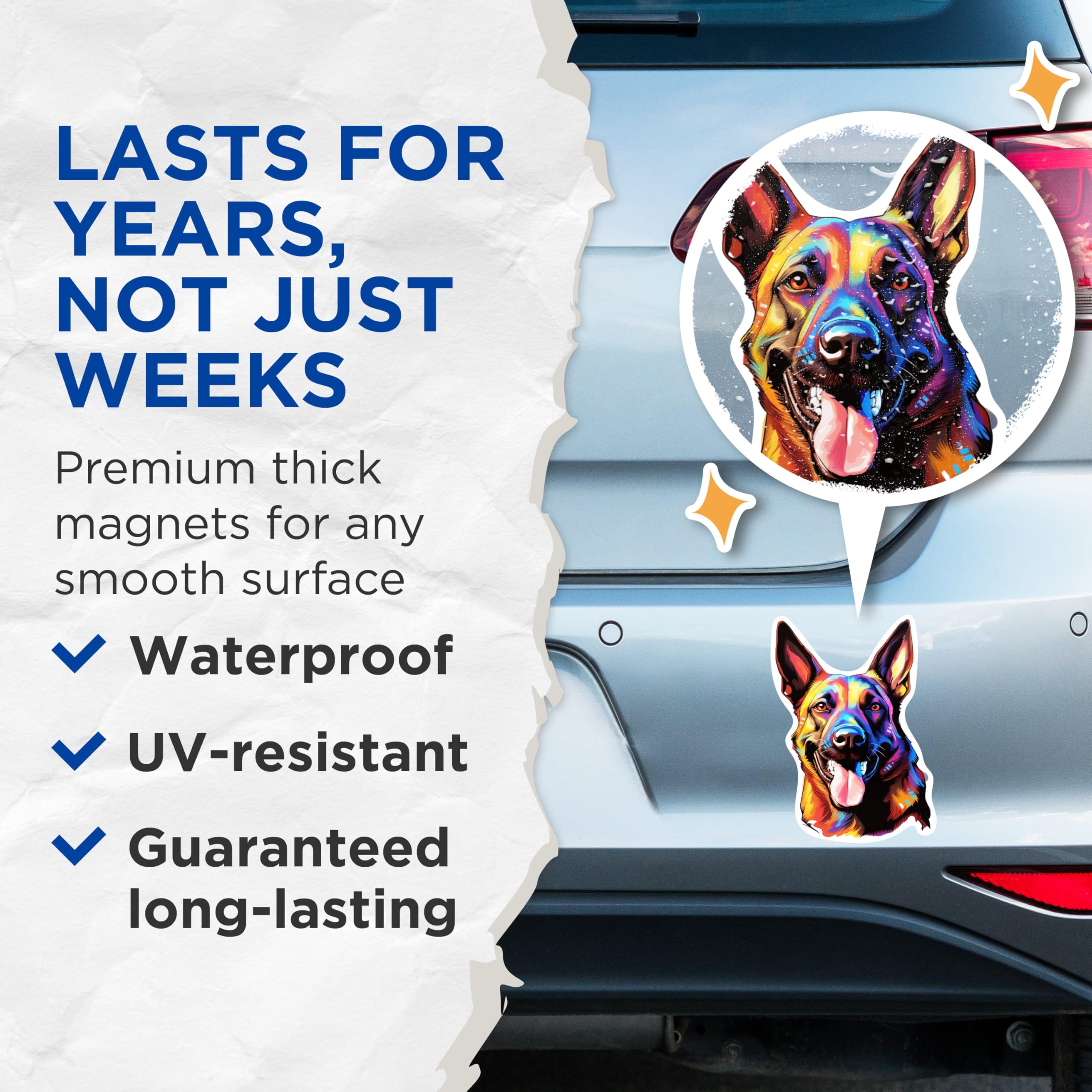 (2 Pack) Belgian Malinois Dog Breed Magnets - 5 Inches On Longest Side - Choose from Over 100 Dog Breeds - for Cars, Refrigerators, Toolboxes - Made in USA - MAG1772