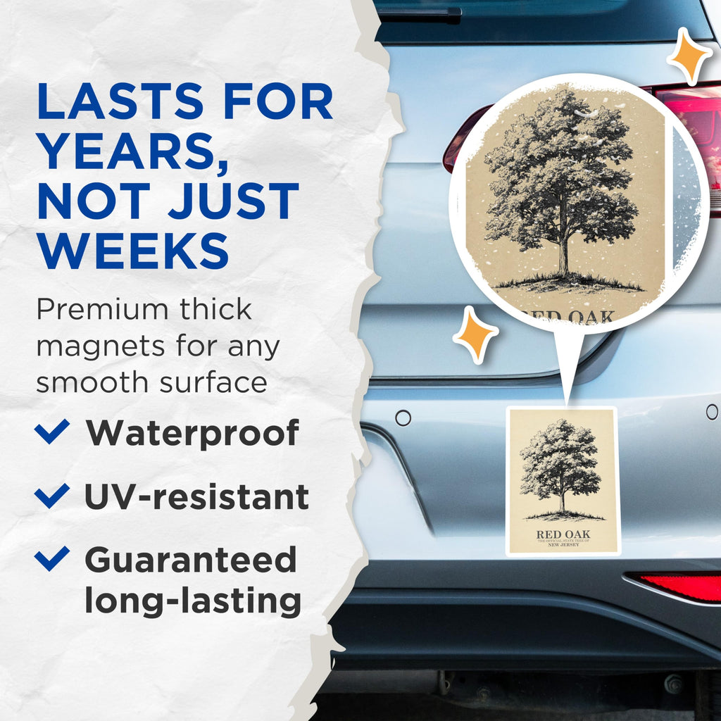 (2 Pack) Red Oak Tree Magnets - New Jersey Official State Tree - Botanical Illustration Magnets - Nature Lover Decor for Home - 5 Inches On Longest Side - Thick Durable Magnet - Made in USA - MAG19257