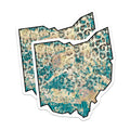 (2 Pack) Ohio Stickers - Leopard Print State - Artistic Decals - 5" On Longest Side - Sticks to Smooth Flat Surfaces - Made in USA - BMCS17246