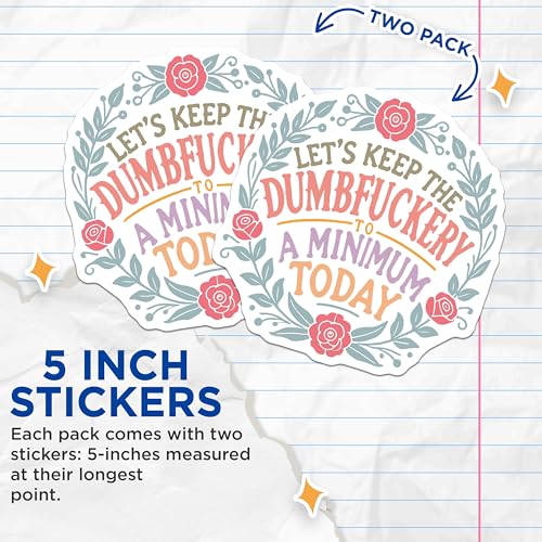 (2 Pack) Funny Quote Stickers - Motivational Stickers - Sarcastic Stickers - 5" On Longest Side - Sticks to Any Smooth Flat Surface - Made in USA - BMCS3428