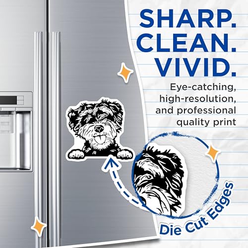 (2 Pack) Playful Dog Magnets - Cute Puppy - Black and White Art Magnet - Adorable Pet Fridge Magnet - 5" On Longest Side - for Cars, Fridges, Toolboxes - Made in USA - MAG4032