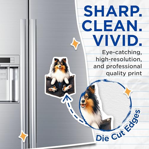 (2 Pack) Sheltie Dog Magnets - Cute Dog Refrigerator - Pet Lover Kitchen ation - 5" On Longest Side - for Cars, Fridges, Toolboxes - Made in USA - MAG4400