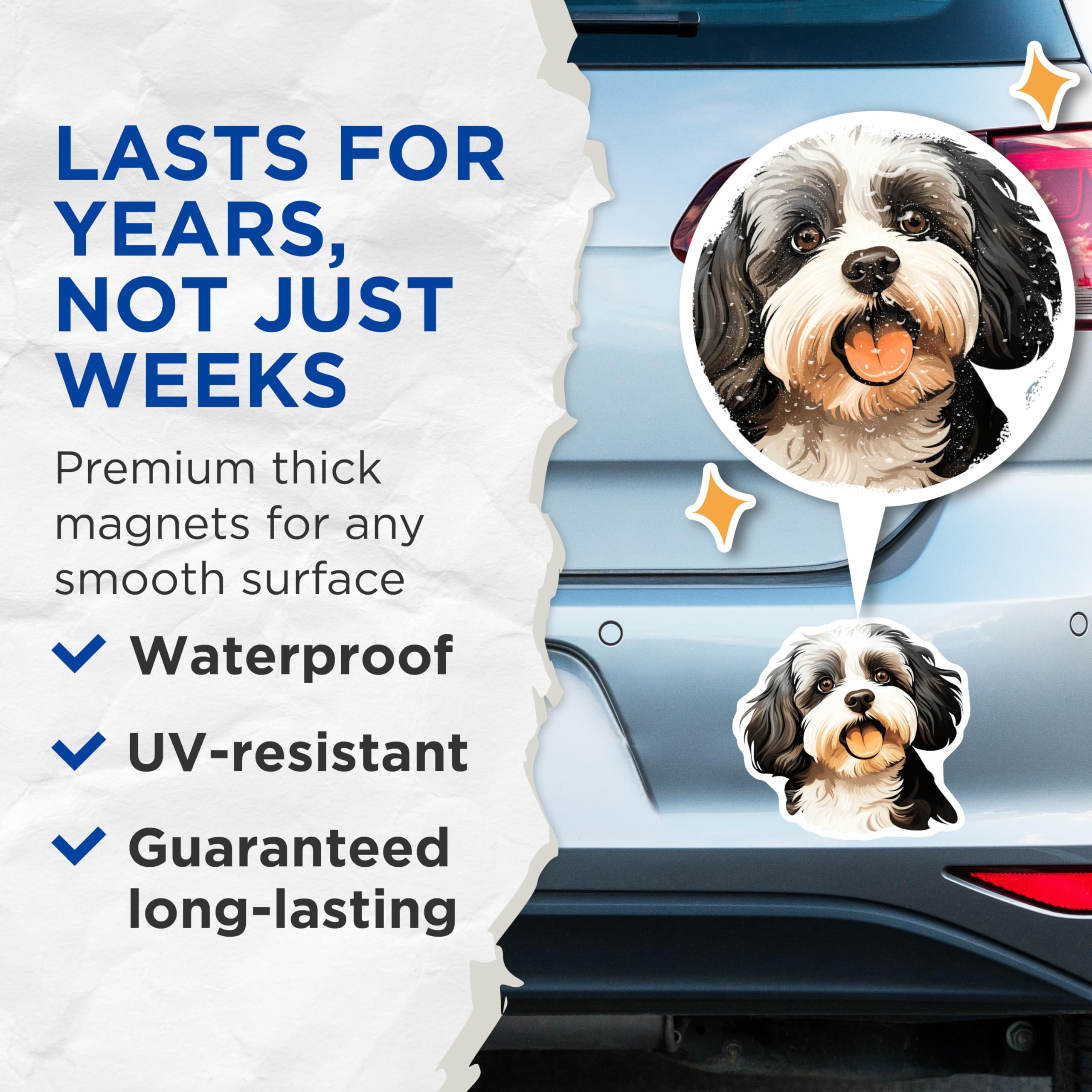 (2 Pack) Happy Havanese Magnets - Cute Dog Lover Decor - Pet Parent Refrigerator Art - 5 Inches On Longest Side - Thick Durable Magnet - Made in USA - MAG27327