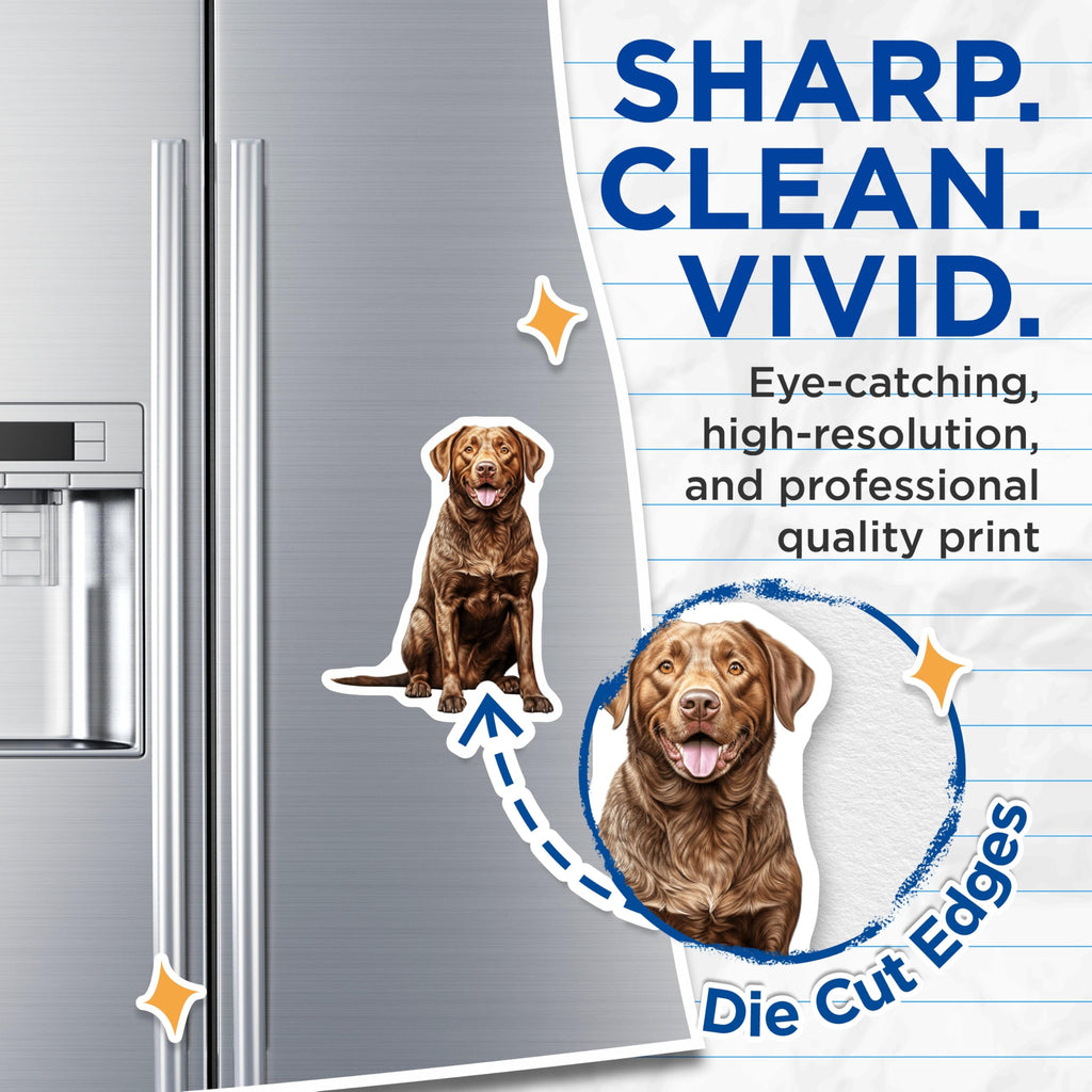 (2 Pack) Chocolate Labrador Magnets - Dog Mom Decor - Retriever Lover Art - Pet Owner Collection - 5 Inches On Longest Side - Thick Durable Magnet - Made in USA - MAG29835