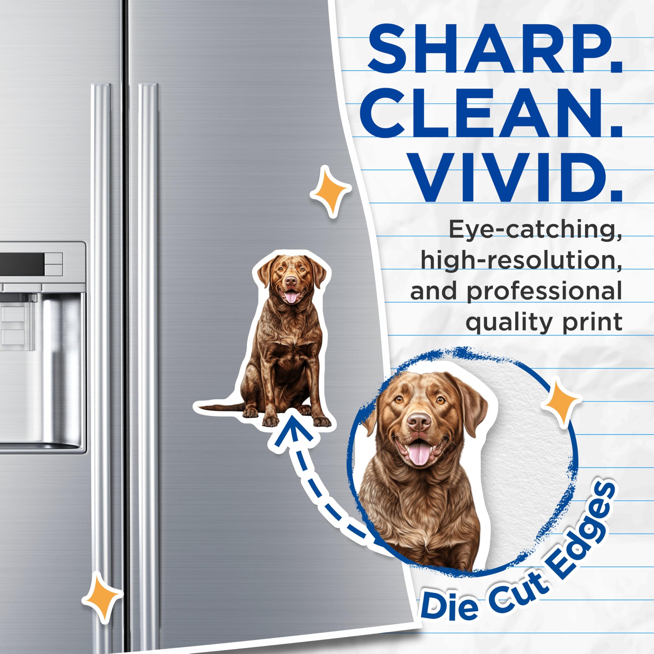 (2 Pack) Chocolate Labrador Magnets - Dog Mom Decor - Retriever Lover Art - Pet Owner Collection - 5 Inches On Longest Side - Thick Durable Magnet - Made in USA - MAG29835