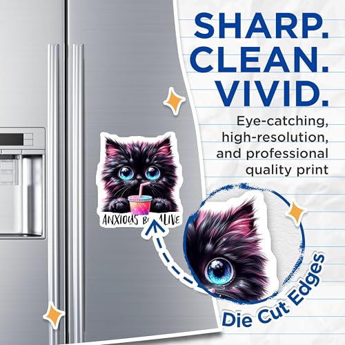 (2 Pack) Anxious But Alive Magnets - Black Cat Artwork - Cute Motivational Magnets - 5" On Longest Side - for Cars, Fridges, Toolboxes - Made in USA - MAG4587