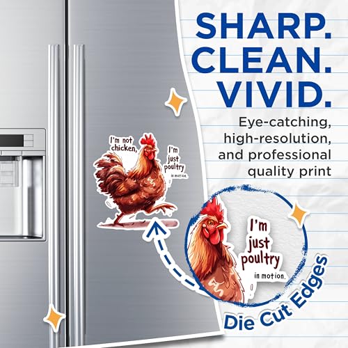 (2 Pack) Funny Chicken Quotes Magnets - Cute Chicken Decor Magnets - Animal Illustration Kitchen Magnets- 5" On Longest Side - for Fridges, Toolboxes, Cars - Made in USA - MAG2598