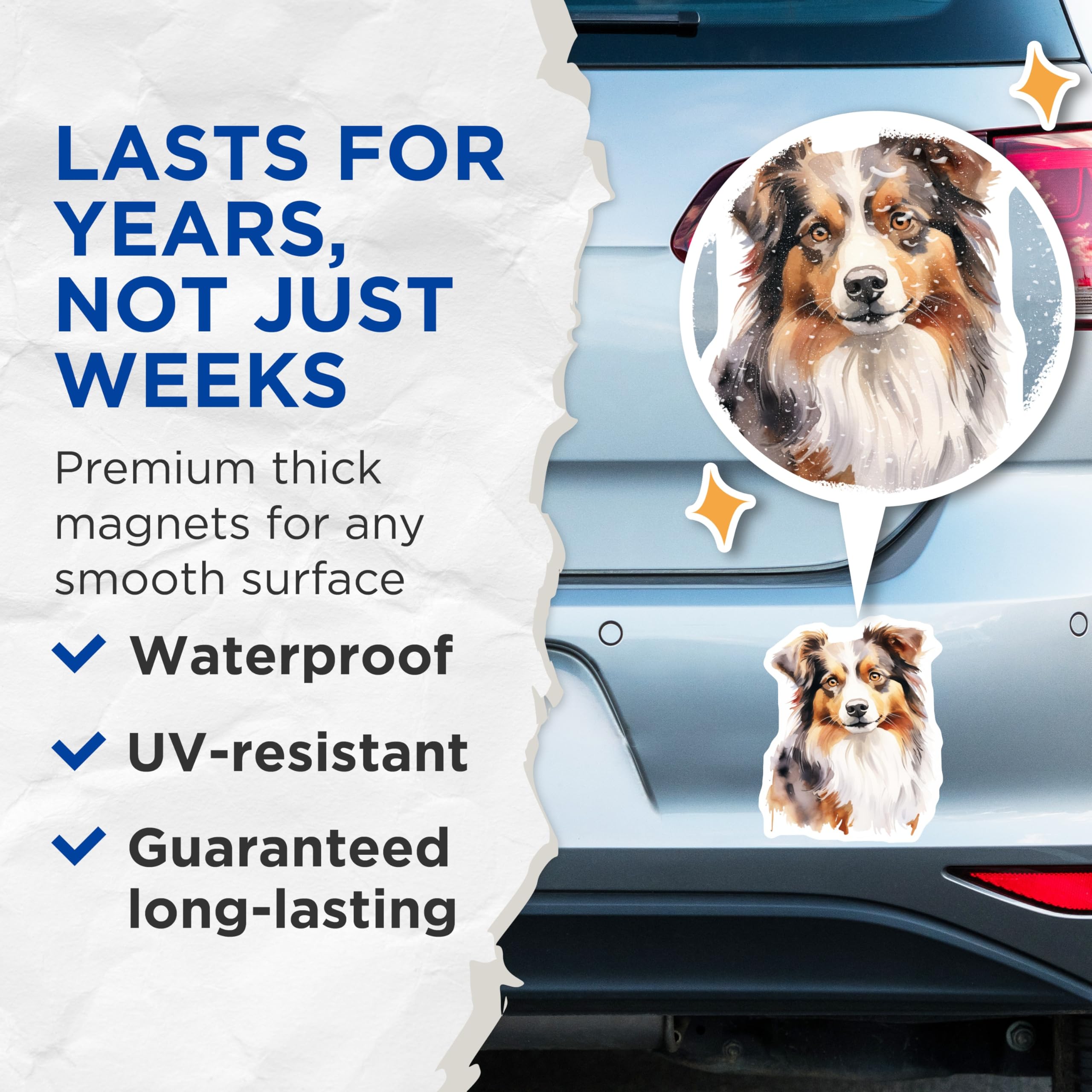 (2 Pack) Australian Shepherd Magnets - Watercolor Dog Art - Aussie Dog Mom Present - 5 Inches On Longest Side - Thick Durable Magnet - Made in USA - MAG28936