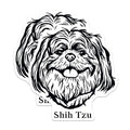 (2 Pack) Shih Tzu Dog Stickers - Cute Dog Stickers for Laptop - Shih Tzu Decal for Water Bottles - Dog Lover Stickers - 5" On Longest Side - Sticks to Smooth Flat Surfaces - Made in USA - BMCS4029