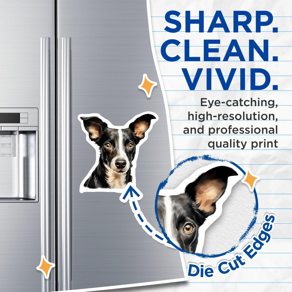 (2 Pack) Border Collie Dog Magnets - Pet Lover Refrigerator Decor - Animal Art Kitchen Magnets - 5 Inches On Longest Side - Thick Durable Magnet - Made in USA - MAG28194