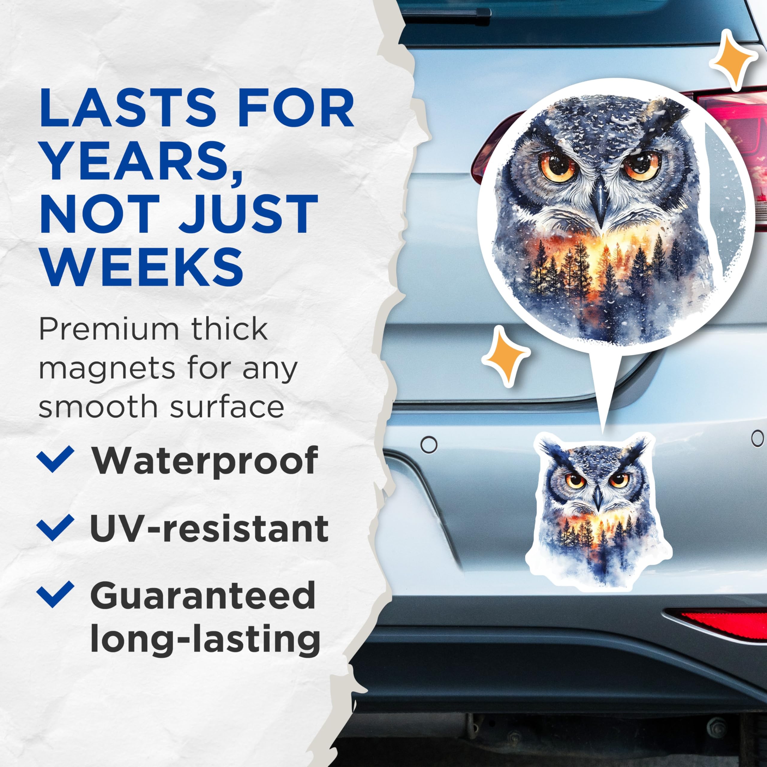 (2 Pack) Owl Face Magnets - Forest Scene Artwork - Home Decor - 5" On Longest Side - Premium Magnet - for Cars, Refrigerators, Toolboxes, Lockers - Made in USA - MAG14267