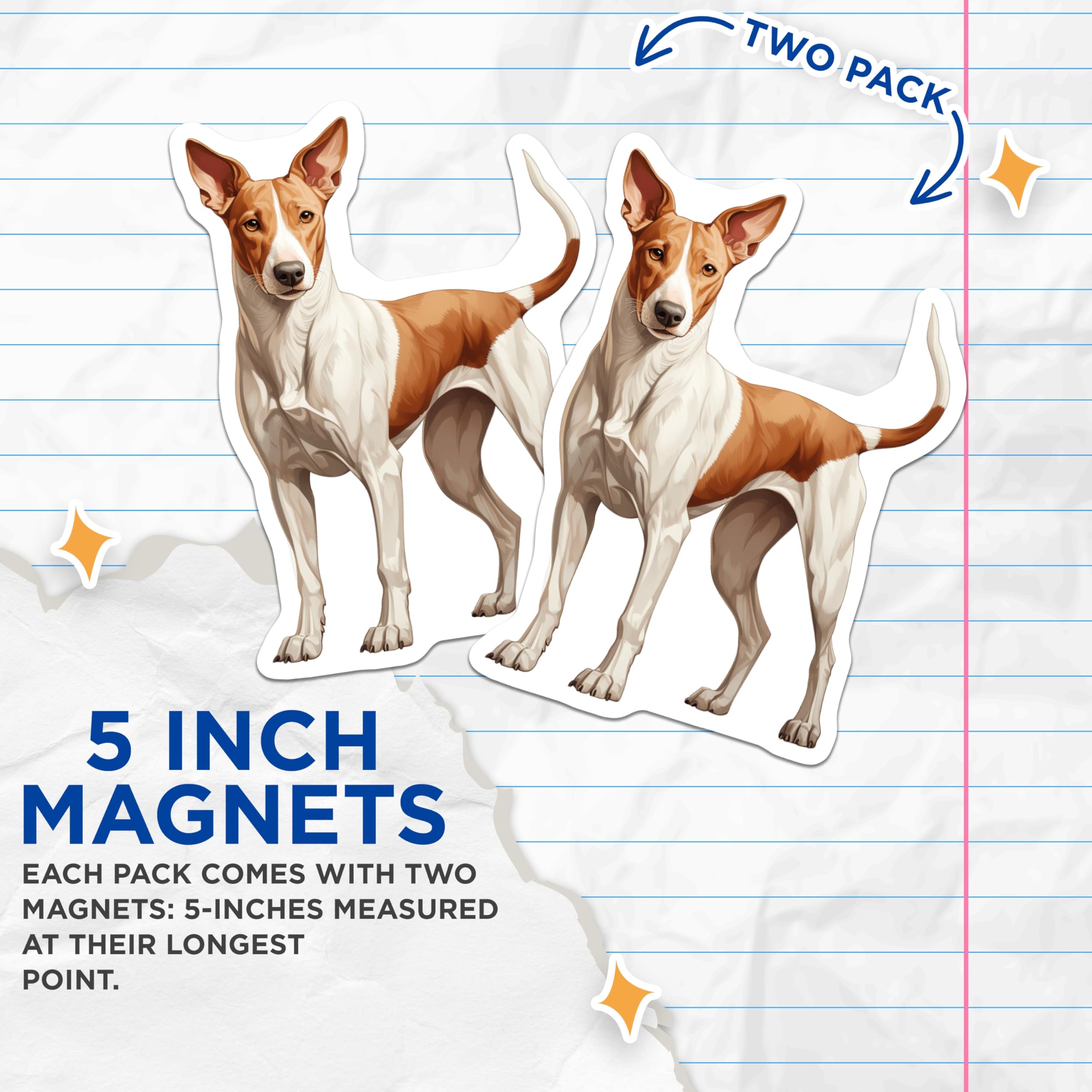 (2 Pack) Basenji Dog Magnets - Realistic Canine Art - Pet Owner Accessory - Dog Mom Decor - 5 Inches On Longest Side - Thick Durable Magnet - Made in USA - MAG25125