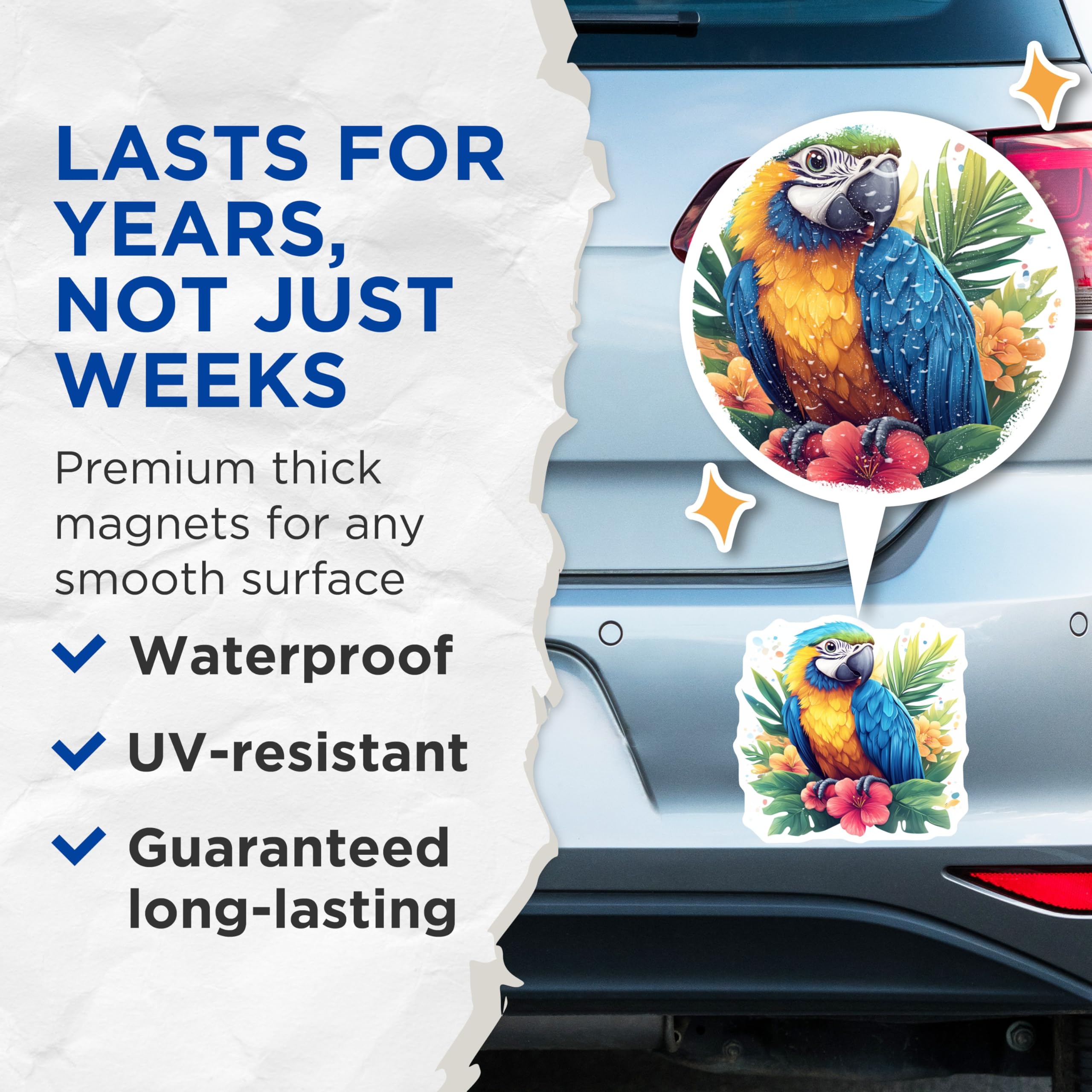 (2 Pack) Tropical Parrot Magnets - Vibrant Macaw Kitchen Decor - Exotic Bird Art Refrigerator Decor - 5 Inches On Longest Side - Thick Durable Magnet - Made in USA - MAG28328