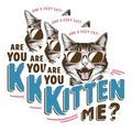 (3 Pack) Funny Cat Decals - Kitten Me Sticker - Sarcastic Cat Laptop Decal - 3 Inches On Longest Side - Easy Peel & Apply - Made in USA - 3MCS4703