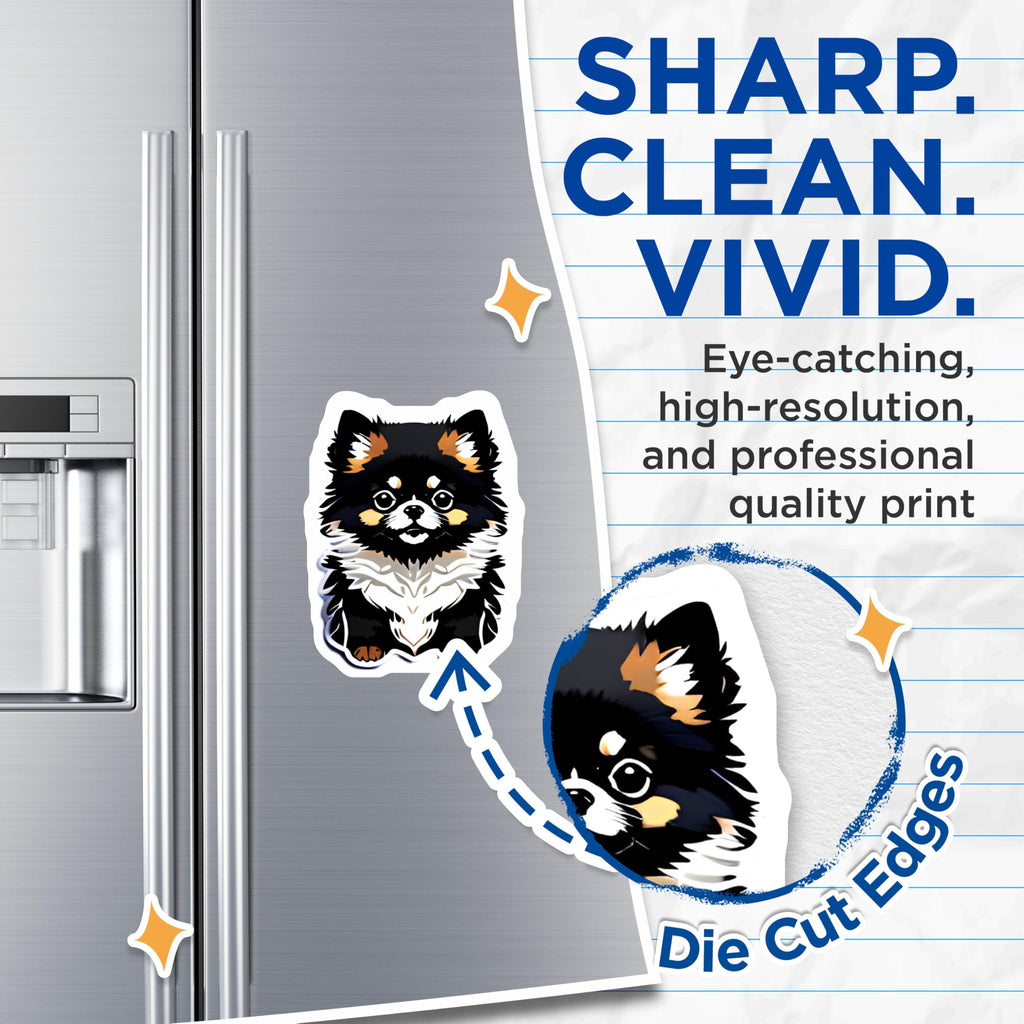 (2 Pack) Pomeranian Magnets - Fluffy Dog Art Decor - Pet Lover Home Accent - 5 Inches On Longest Side - Thick Durable Magnet - Made in USA - MAG23007